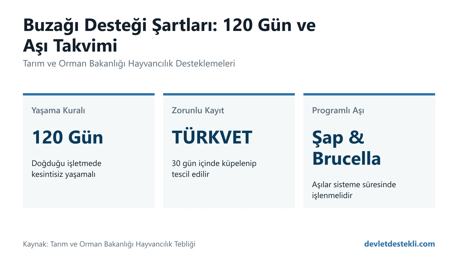 Hayvancılık buzağı desteği 120 gün yaşama kuralı ve zorunlu aşı takvimi