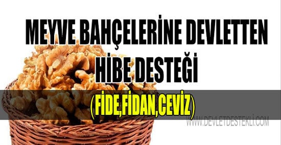 Meyve Bahçesine Devletten Hibe Desteği 2023 (Fidan-Fide-Ceviz-Aronya)