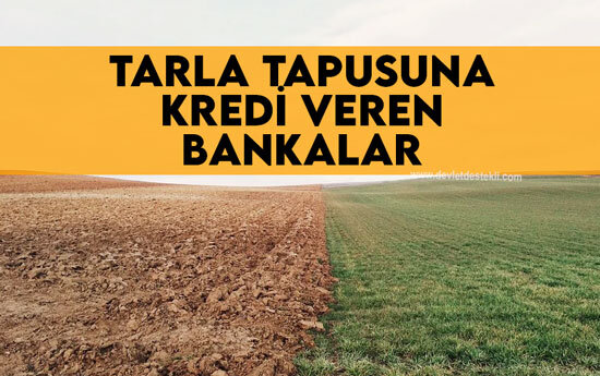 Tarla Tapusuna Kredi Veren Bankalar 2023 (ÇİFTÇİLERE MÜJDE)