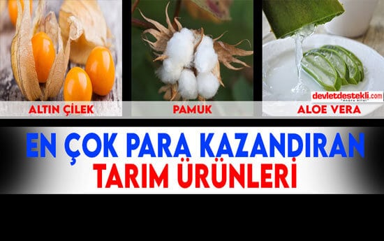 Çiftçiye En Çok Kazandıran Tarım Ürünleri 2023 (En Karlı Tarım Ürünleri)