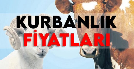 büyükbaş küçükbaş fiyatları