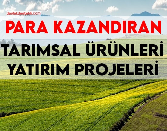 Para Kazandıran Tarımsal Ürünler 2023 (EN KAZANÇLI ÇİFTÇİLİK)