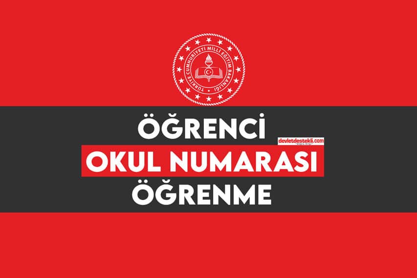 Öğrenci Okul Numarası Öğrenme 2023 (E-Devlet MEB)