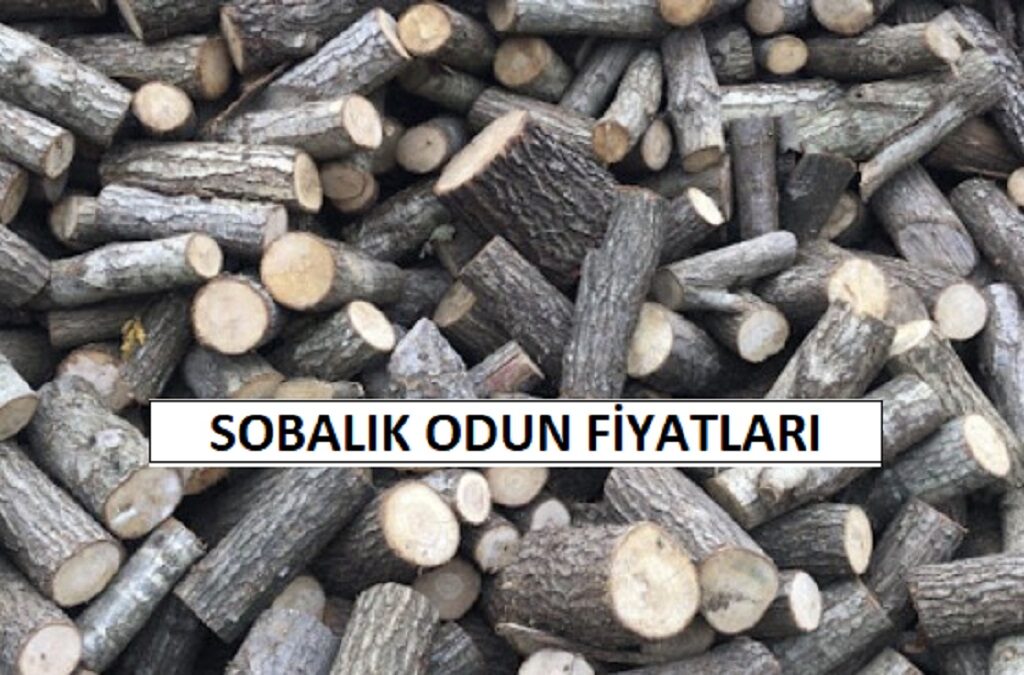 1 Ton Sobalık Odun Fiyatları 2025 (Meşe Çam Fırın Pelet Ster)