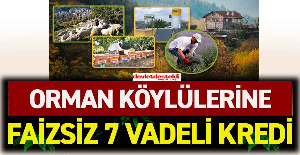 Faizsiz Kredi Destek Şartları Nelerdir?