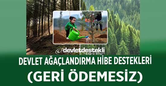 Devlet Ağaçlandırma Hibe Destekleri 2023 (GERİ ÖDEMESİZ)