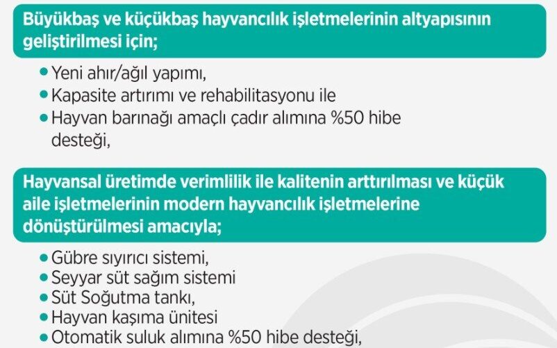 Yüzde 50 hayvancılık hibe desteği