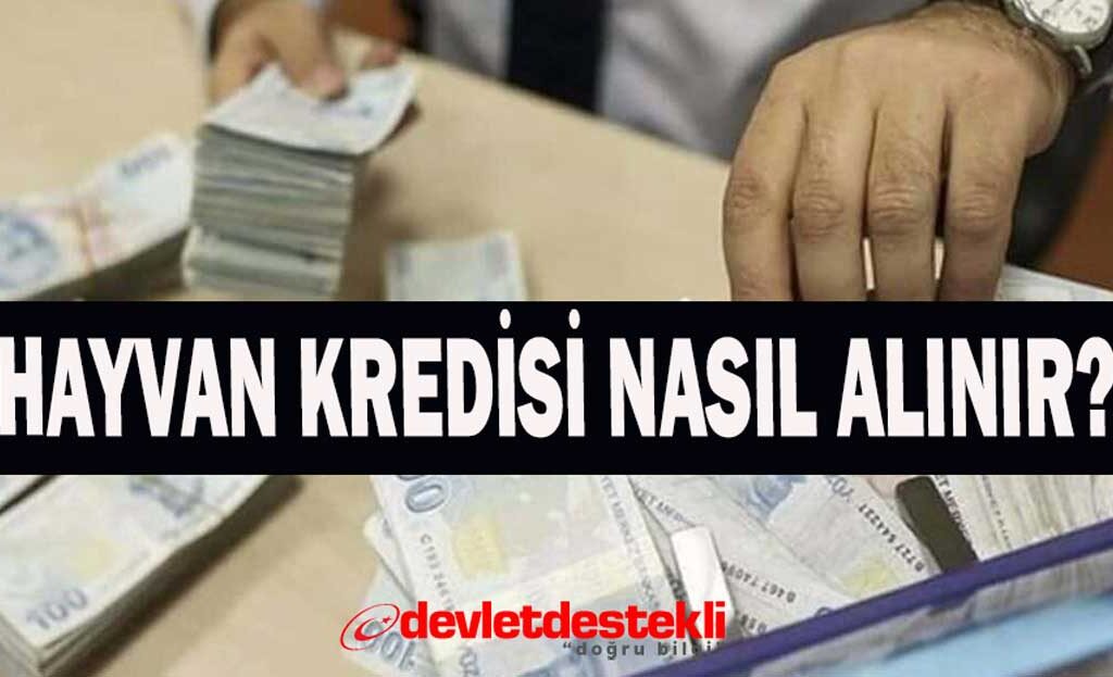 Ziraat Bankasından Hayvan Kredisi Nasıl Alınır? 2025 Şartları Adım Adım Başvuru