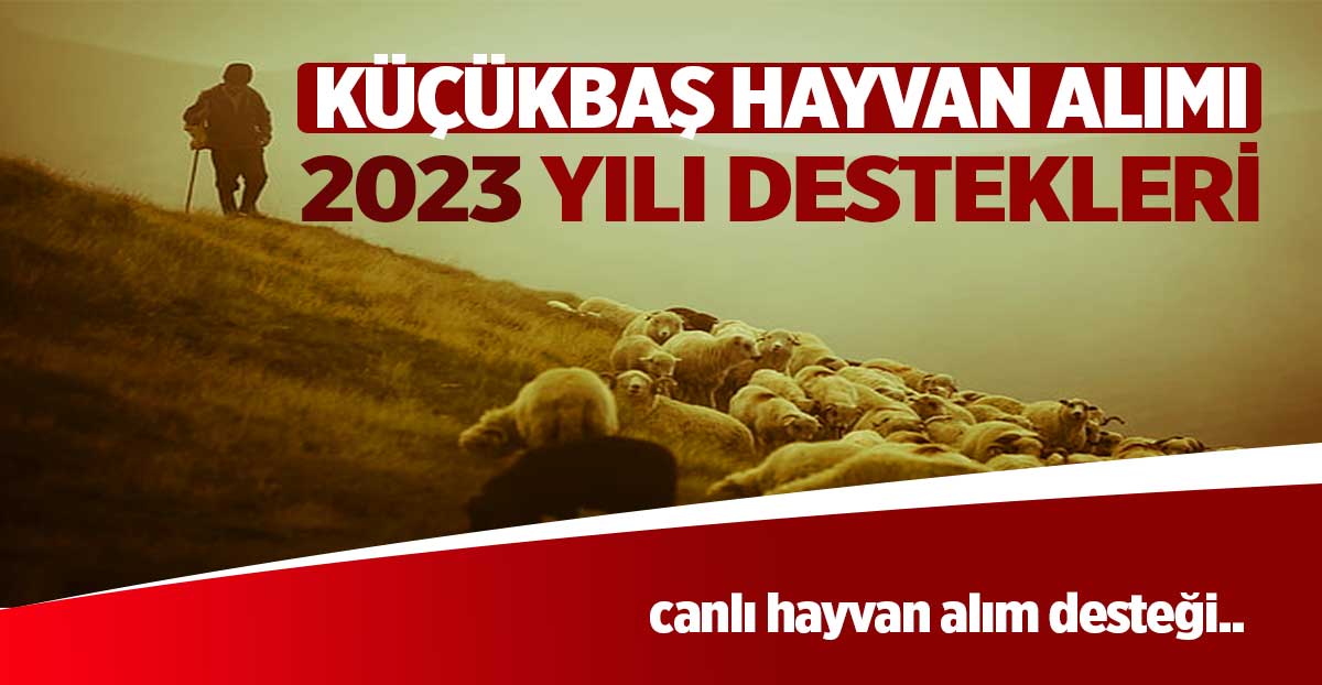 Küçükbaş Hayvan Desteği 2023 Şartları (ZİRAAT BANKASI)