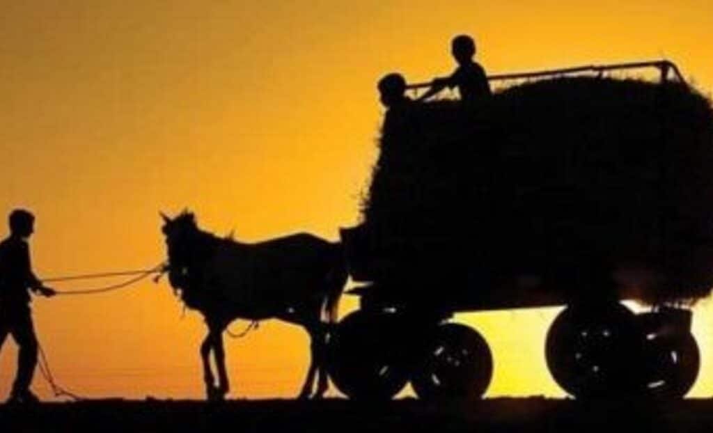 Köye Dönüş Belediye Taşınma Yardımı 2023 Şartları Nelerdir?