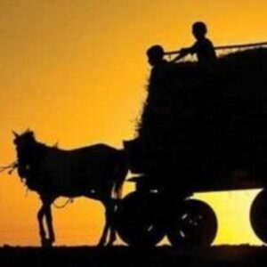 Köye Dönüş Belediye Taşınma Yardımı 2023 Şartları Nelerdir?