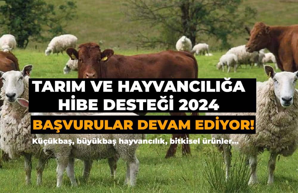 Tarım ve Hayvancılığa Hibe Desteği 2024 Başvurular Sürüyor!