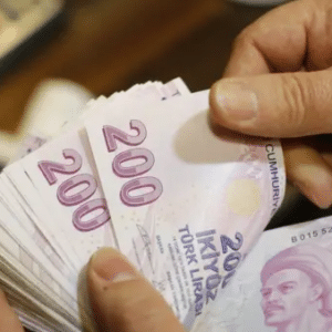 TES Emeklilik Sistemiyle Emekliye Çifte Maaş 2025