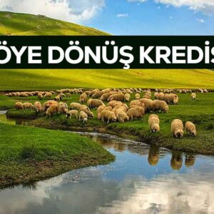 Köye Dönüş Kredisi 2025 Şartları (DEVLET DESTEKLİ)