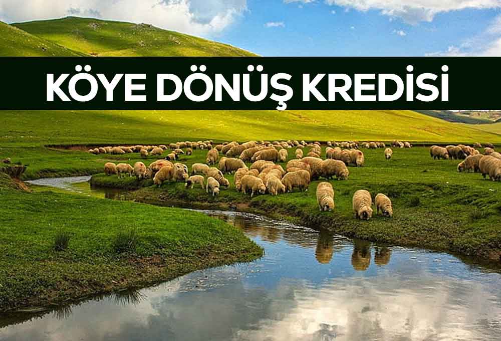 Köye Dönüş Kredisi 2025 Şartları (DEVLET DESTEKLİ)