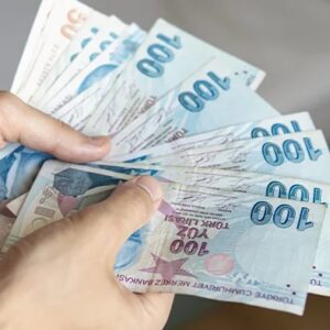 Tarım ve Hayvancılık %80 Hibe Desteği 2025 Şartları