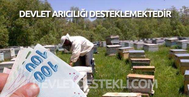 Arıcılık Nasıl Yapılır? 2023 Maliyet Hesaplaması