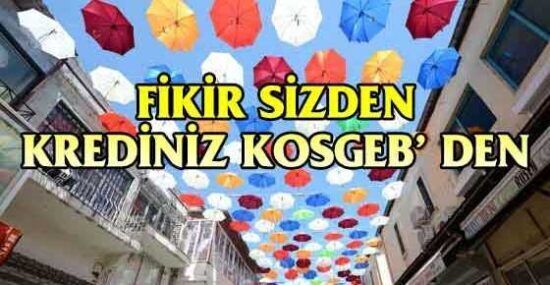 Yeni Esnaf Kredi Çekebilir mi? 2023 Devlet Destek Paketi Şartları ve Hesaplama