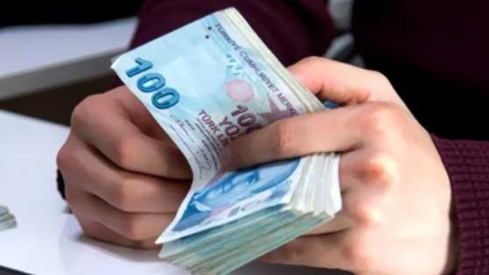 Meyve Bahçelerine Devletten Destek Hibe (Fidan-Fide-Ceviz)