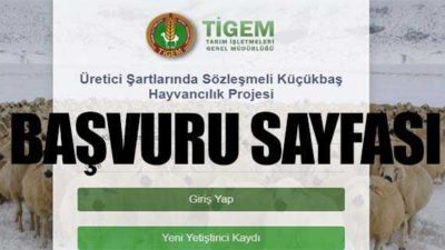 TİGEM 300 Koyun Kredisi ve Şartları Neler? 2020 Destekleri
