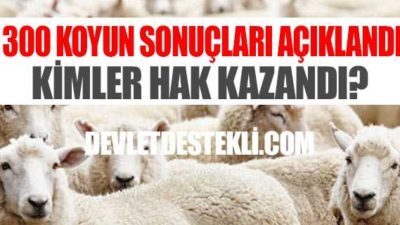 300 Koyun Sonuçları Açıklandı! TİGEM Kazananları Bildirdi!
