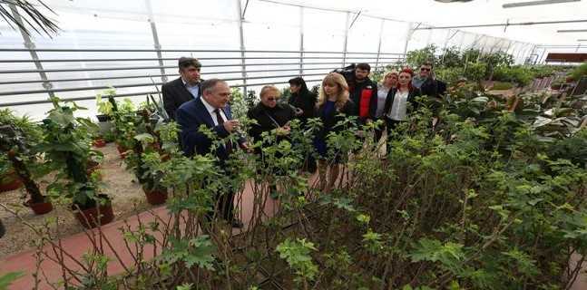 Fidan Yetiştiriciliği Proje Destekleri
