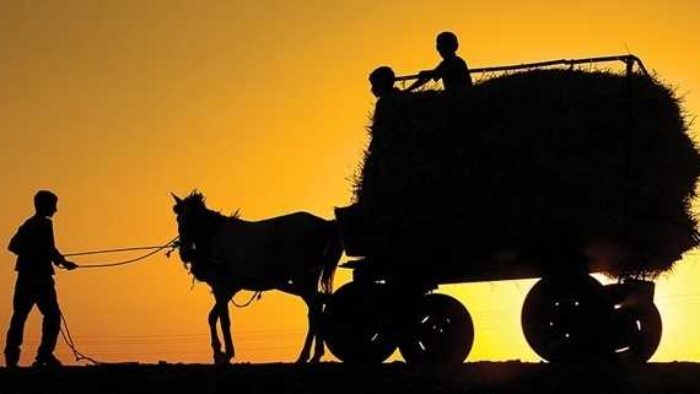 Memlekete Göç Yardımı Nasıl Alınır? Şartları Nelerdir?