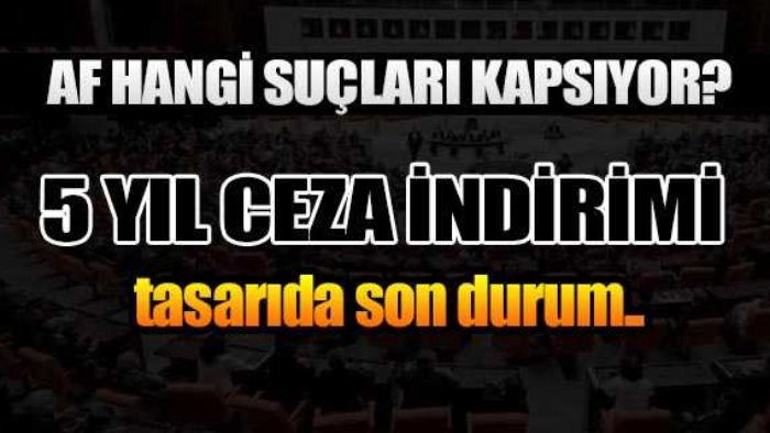 Hangi Suçlar Aftan Yararlanacak 2020 (CEZA İNDİRİMİ)