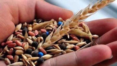 Tarım Kredi Kooperatifi Tohum Fiyatları 2020 (Güncel)