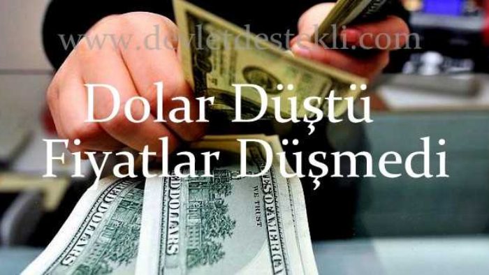 Dolar Düştü Fiyatlar Neden Düşmüyor? 2020 Tahminleri
