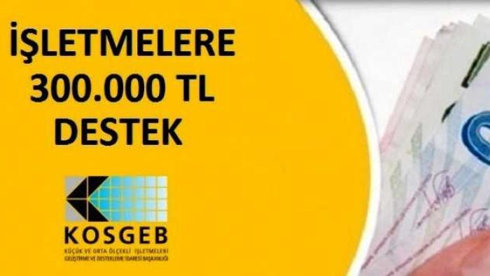 KOSGEB 300 Bin Lira Faizsiz Kredi 2020 Desteği