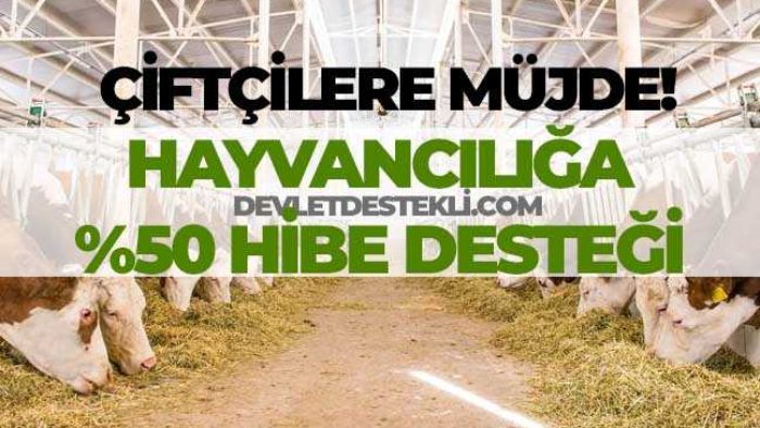 Hayvancılığa Yüzde 50 Hibe Desteği 2020-2023 Müjdesi!