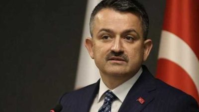 2020 Tarım ve Hayvancılık Devlet Destekleri