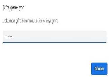 dokuman koruma şifresi