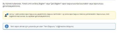 Risk Merkezi Raporu Başvuru Ekranı