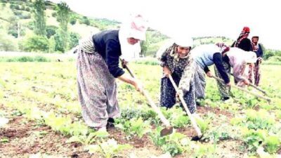 7 Farklı Sektöre Tarım ve Hayvancılık 2020 Hibesi