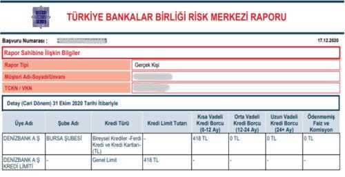 Risk Merkezi Raporu
