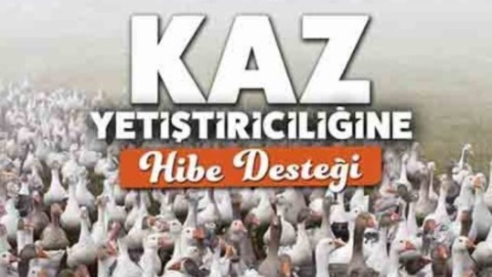 Kaz Yetiştiriciliği Hibesi 2020 (YÜZDE 75 BAŞVURUSU)