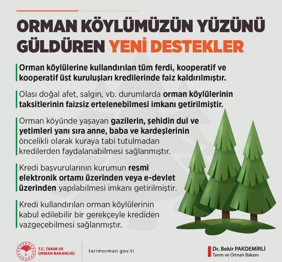Orman Köy Projesi