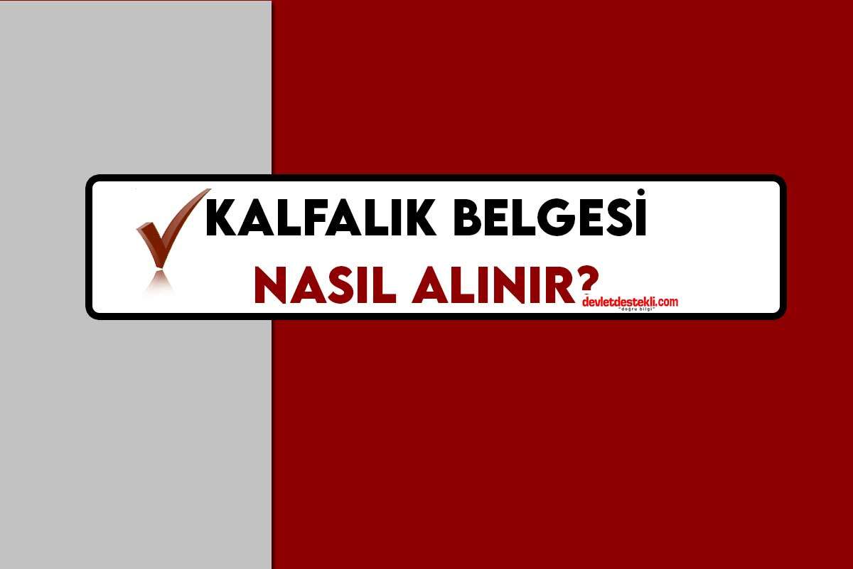 Kalfalık Belgesi Nasıl Alınır? 2023 Şartları (En Kısa Sürede)