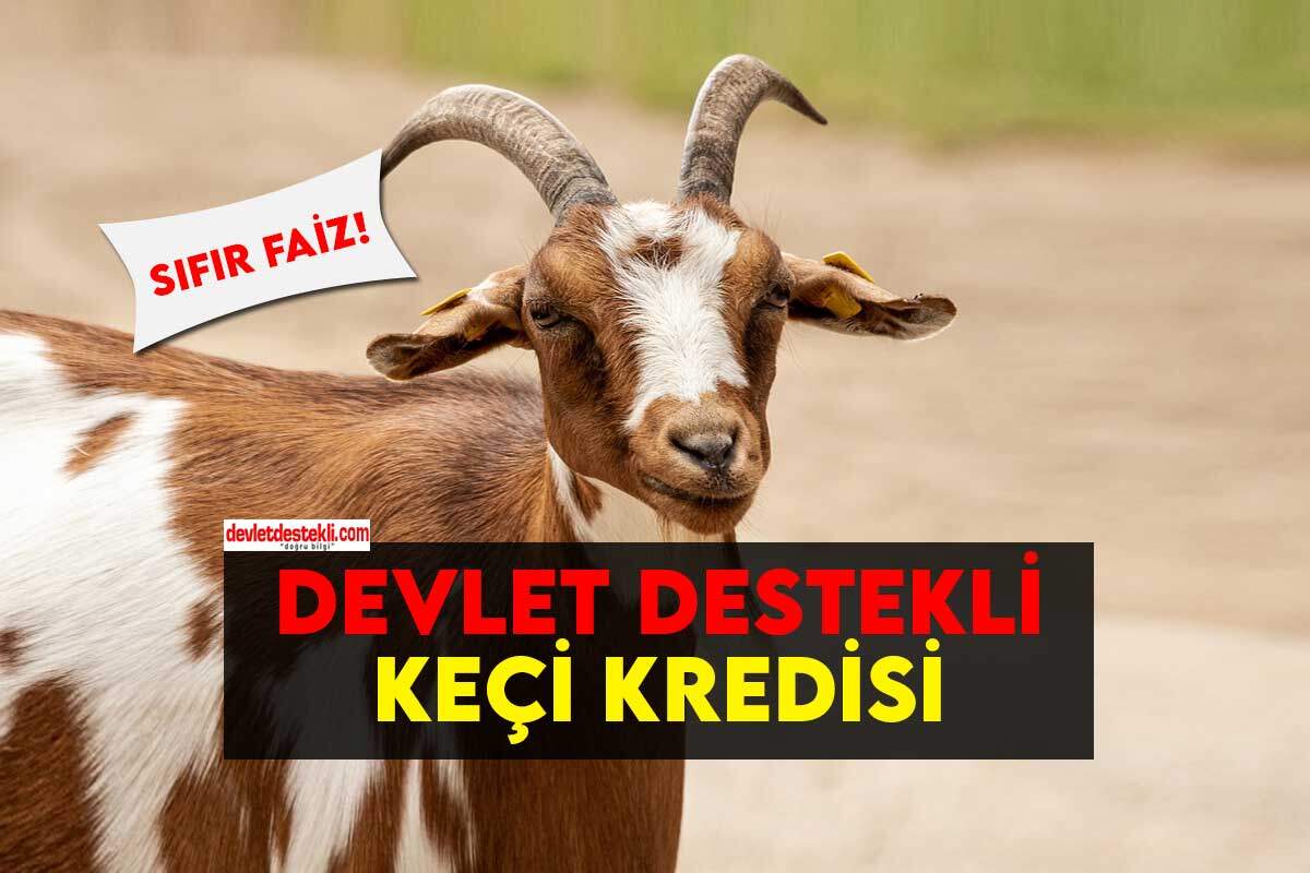 Keçi Kredisi Nasıl Alınır? Küçükbaş Sıfır Faiz Desteği 2023