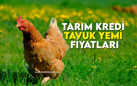Tarım Kredi Tavuk Yemi Fiyatları 2023 Zamlı Liste