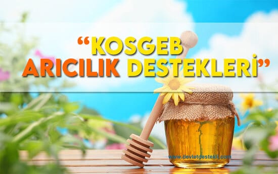 KOSGEB Arıcılık Hibe Desteği ve Devlet Desteklemesi 2023