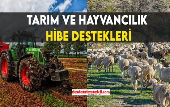 Tarım Hibe Destekleri 2023 Programları Listesi