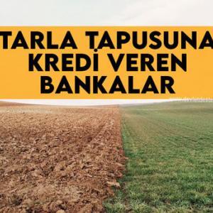 Tarla Tapusuna Kredi Veren Bankalar 2023 (ÇİFTÇİLERE MÜJDE)