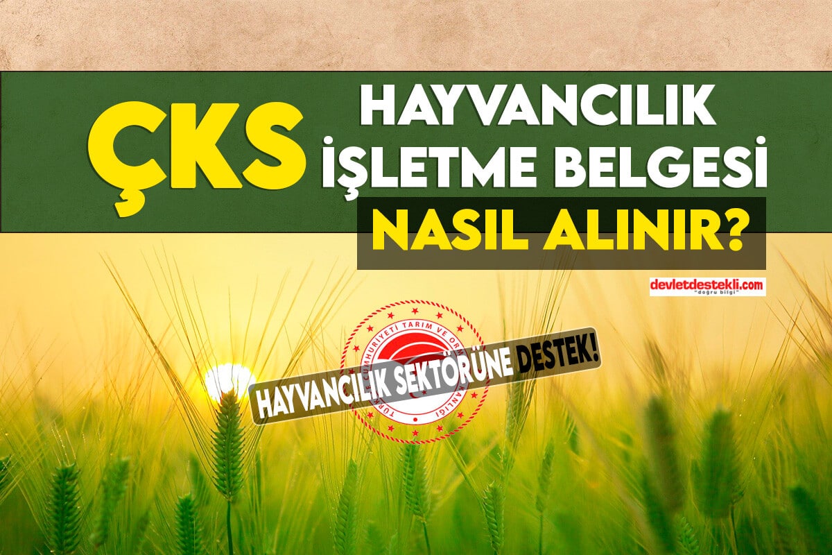 ÇKS İle Hayvancılık İşletme Belgesi Nasıl Alınır?