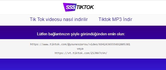 İOS/Android Telefona Logosuz TikTok Videosu İndirme