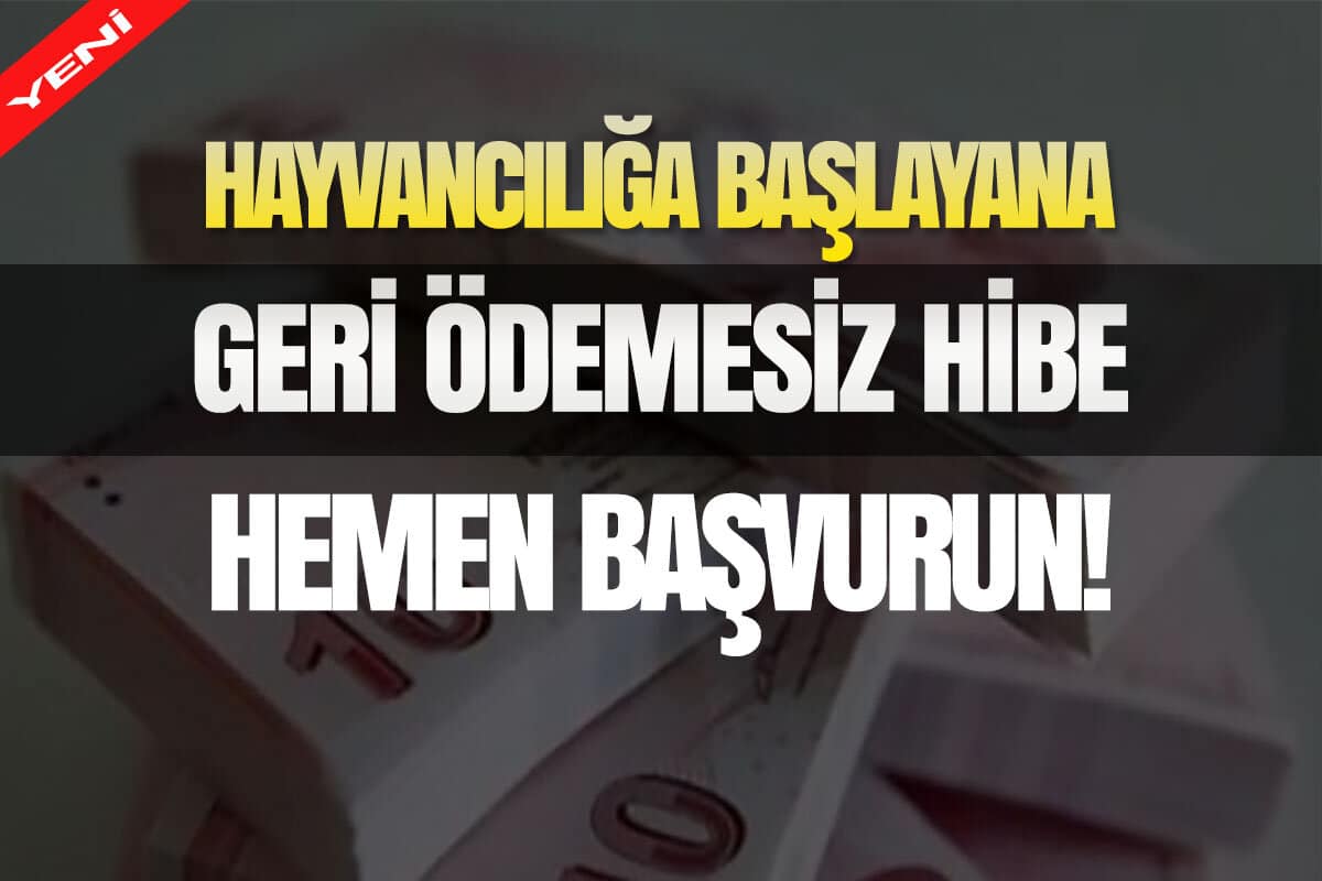 Hayvanciliga Geri Odemesiz Hibe Destegi 2021 Aralik Hemen Basvur
