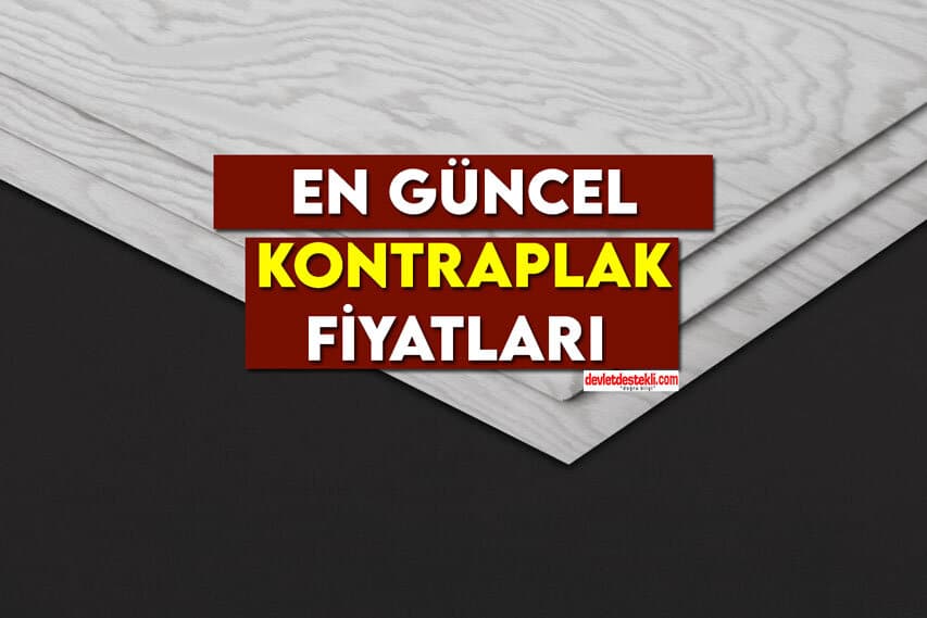 Kontrplak Fiyatları 2023 Ağustos Listesi (EN KALİTELİ VE UCUZ)