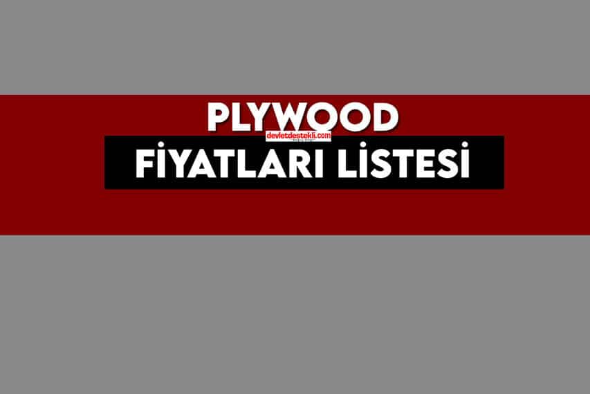 Plywood Fiyatları Listesi 2023 KASIM (Yerli Sıfır Pleymut)